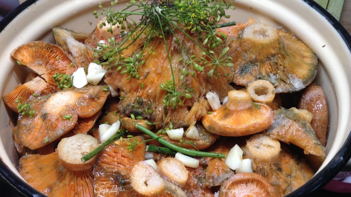 Рыжики соленые «Рыжее царство»