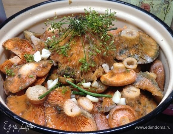 Рыжики соленые «Рыжее царство» Рыжики соленые «Рыжее царство»