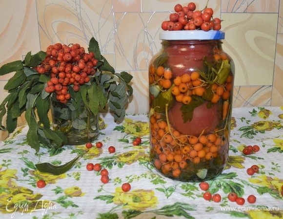 Помидоры с рябиной Помидоры с рябиной