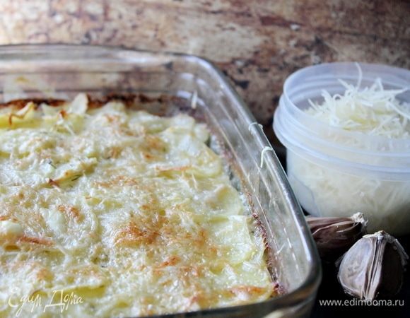 Картофельный гратен Картофельный гратен