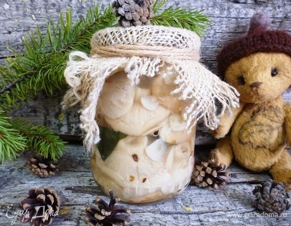 Соленые грузди Соленые грузди