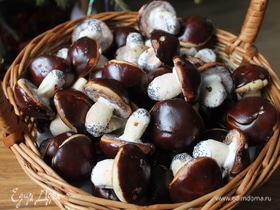 Фото рецепта