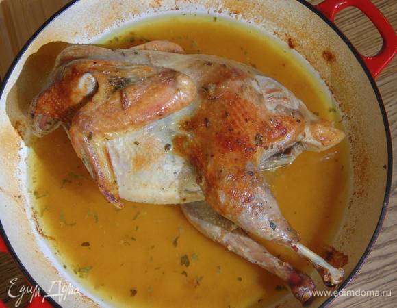 Цесарка с шалфеем в белом вине