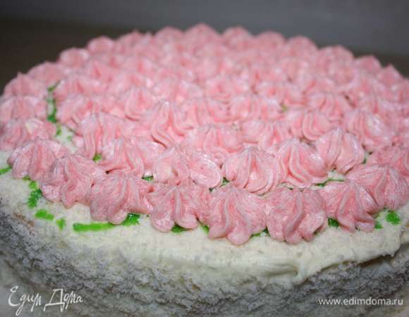 Бисквитный торт Бисквитный торт