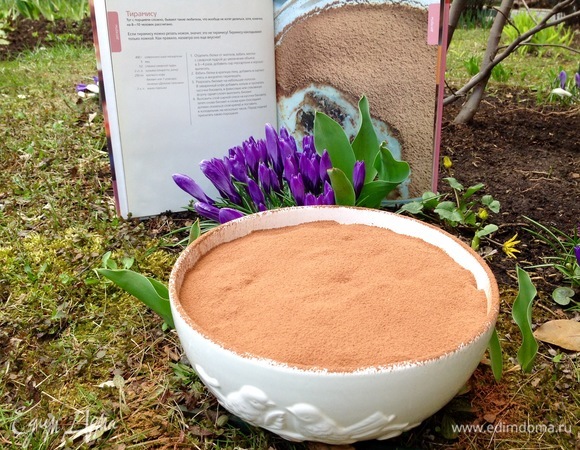 Тирамису Тирамису