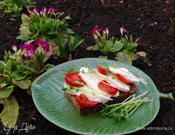 Сырный сандвич