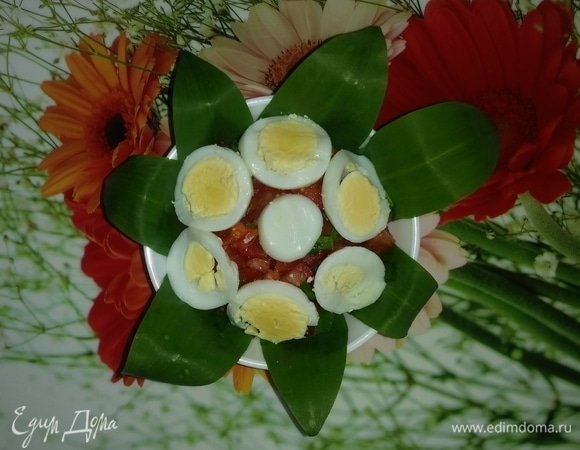 Салат из помидоров, черемши и яйца Салат из помидоров, черемши и яйца