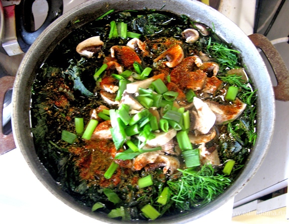 Крапивный суп со свининой и шампиньонами Крапивный суп со свининой и шампиньонами