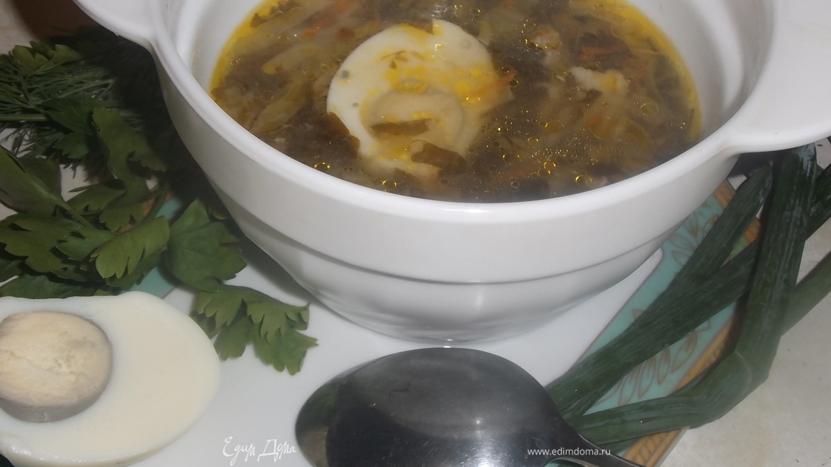 Щи со щавелем и капустой