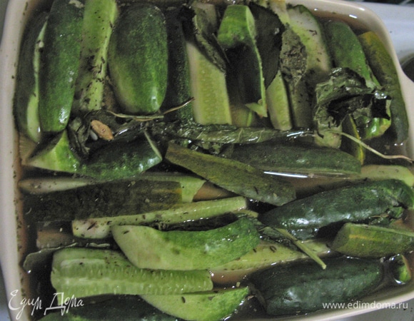 Маринованные огурчики в виноградном вине