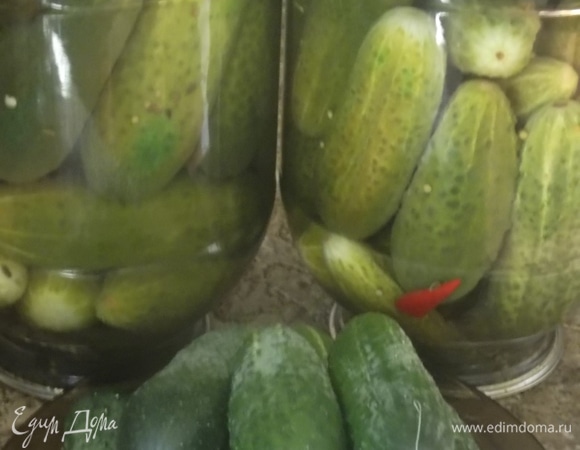 Огурцы-удальцы Огурцы-удальцы