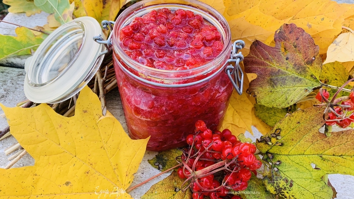 Калина с сахаром без варки