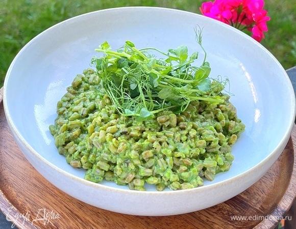 Зеленое перлотто Зеленое перлотто