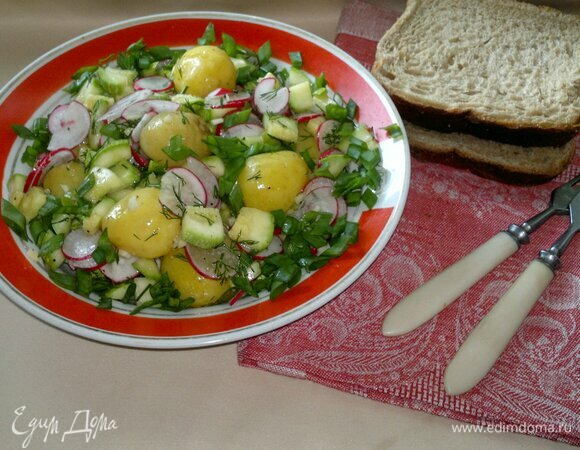 Салат с молодым картофелем, редисом и малосольными кабачками