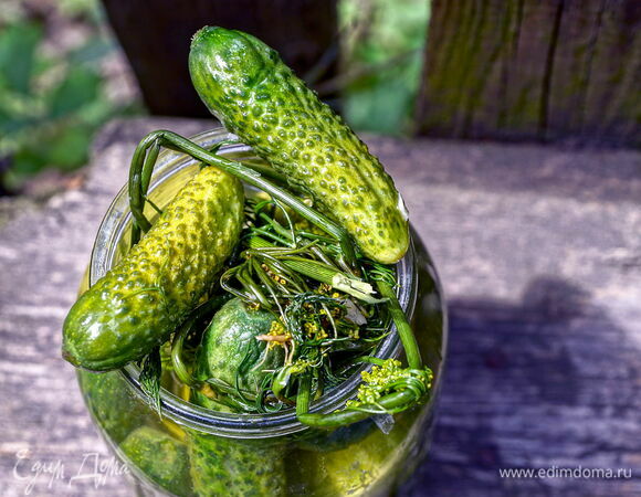 Рецепт приготовления малосольных огурцов в банке Рецепт приготовления малосольных огурцов в банке