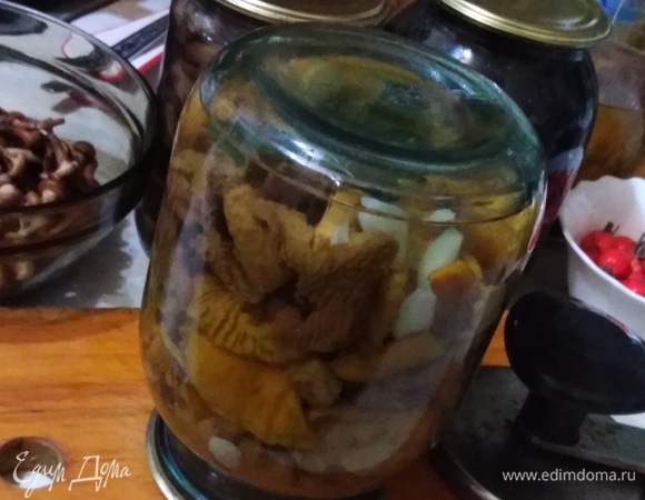 Соленые лисички со смородиновым листом Соленые лисички со смородиновым листом