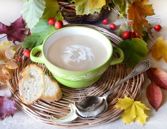 Суп-пюре из белых грибов с луком-пореем