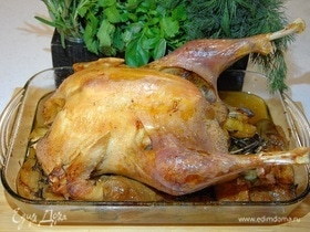 Фото рецепта