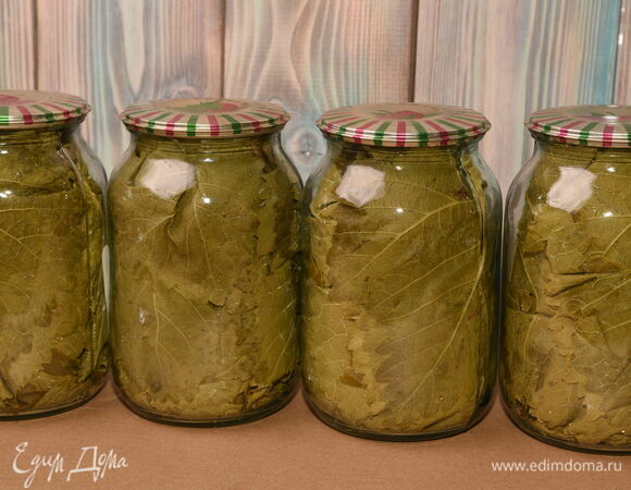 Маринованные листья винограда для долмы Маринованные листья винограда для долмы