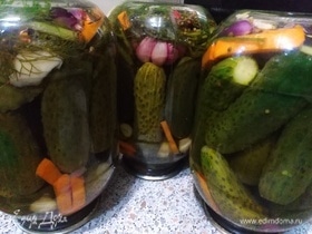 Фото рецепта