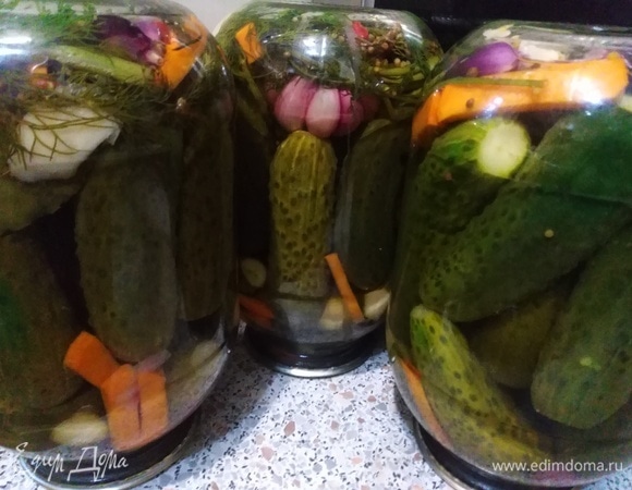 Консервированные огурцы Консервированные огурцы