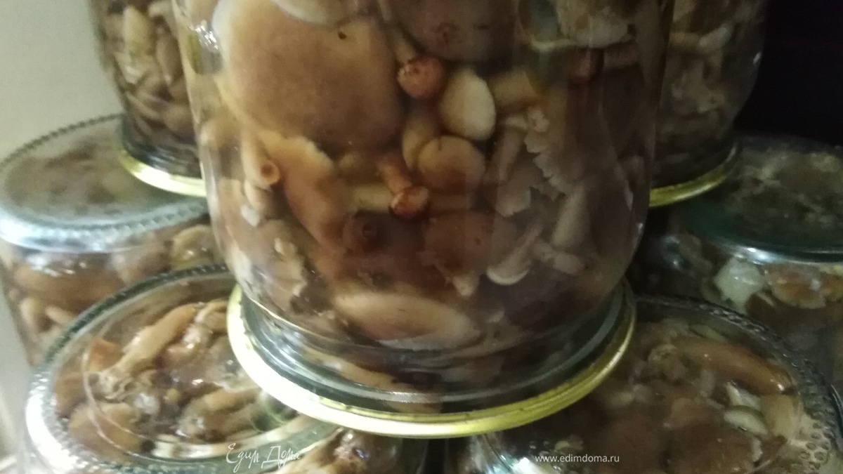 Опята на зиму