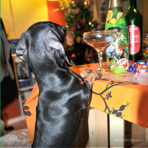 Фотография профиля