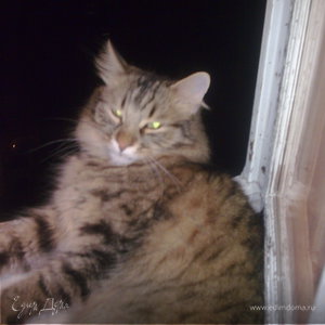 Фотография профиля