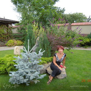 Фотография профиля