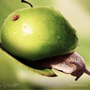 Фотография профиля