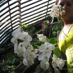 Фотография профиля