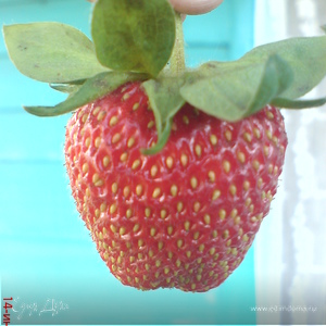 Фотография профиля