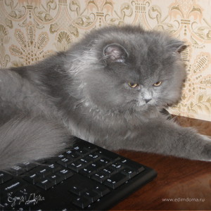 Фотография профиля