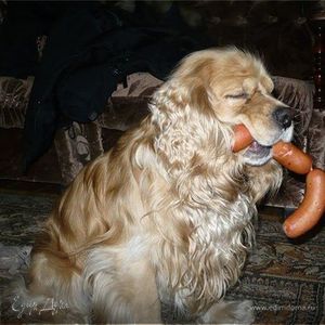 Фотография профиля