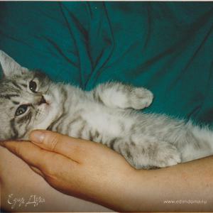 Фотография профиля