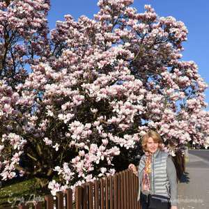 Фотография профиля