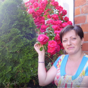 Фотография профиля