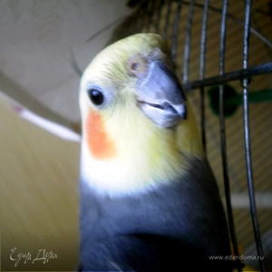 Фотография профиля