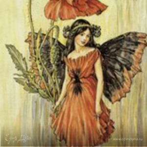 Фотография профиля