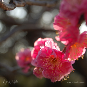 Фотография профиля