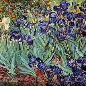 Фотография профиля