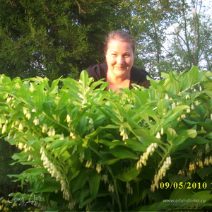 Фотография профиля