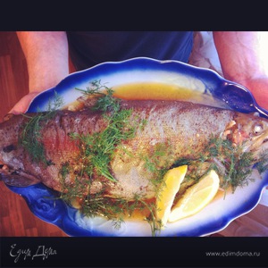 Фотография профиля