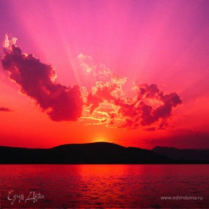 Фотография профиля