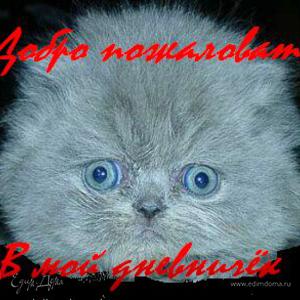 Фотография профиля