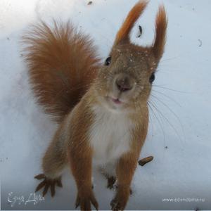 Фотография профиля