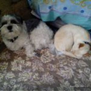 Фотография профиля