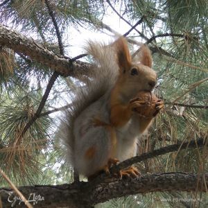 Фотография профиля