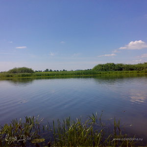 Фотография профиля