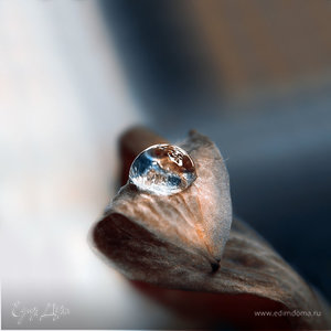 Фотография профиля